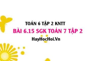 Bài 6.15 SGK Toán 7 tập 2 Kết nối tri thức